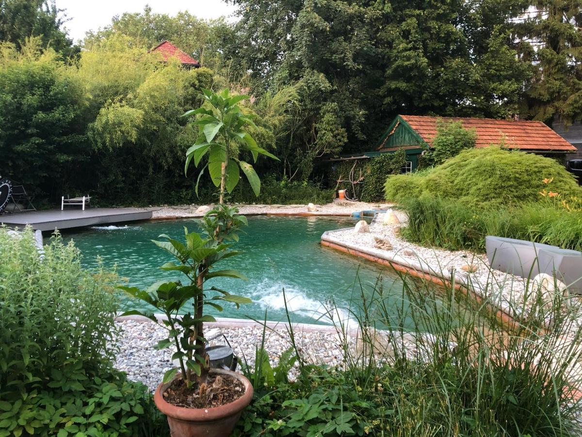 Haus Mit Sauna Und Privatem Badeteich In Anif Bei Salzburg Exteriör bild