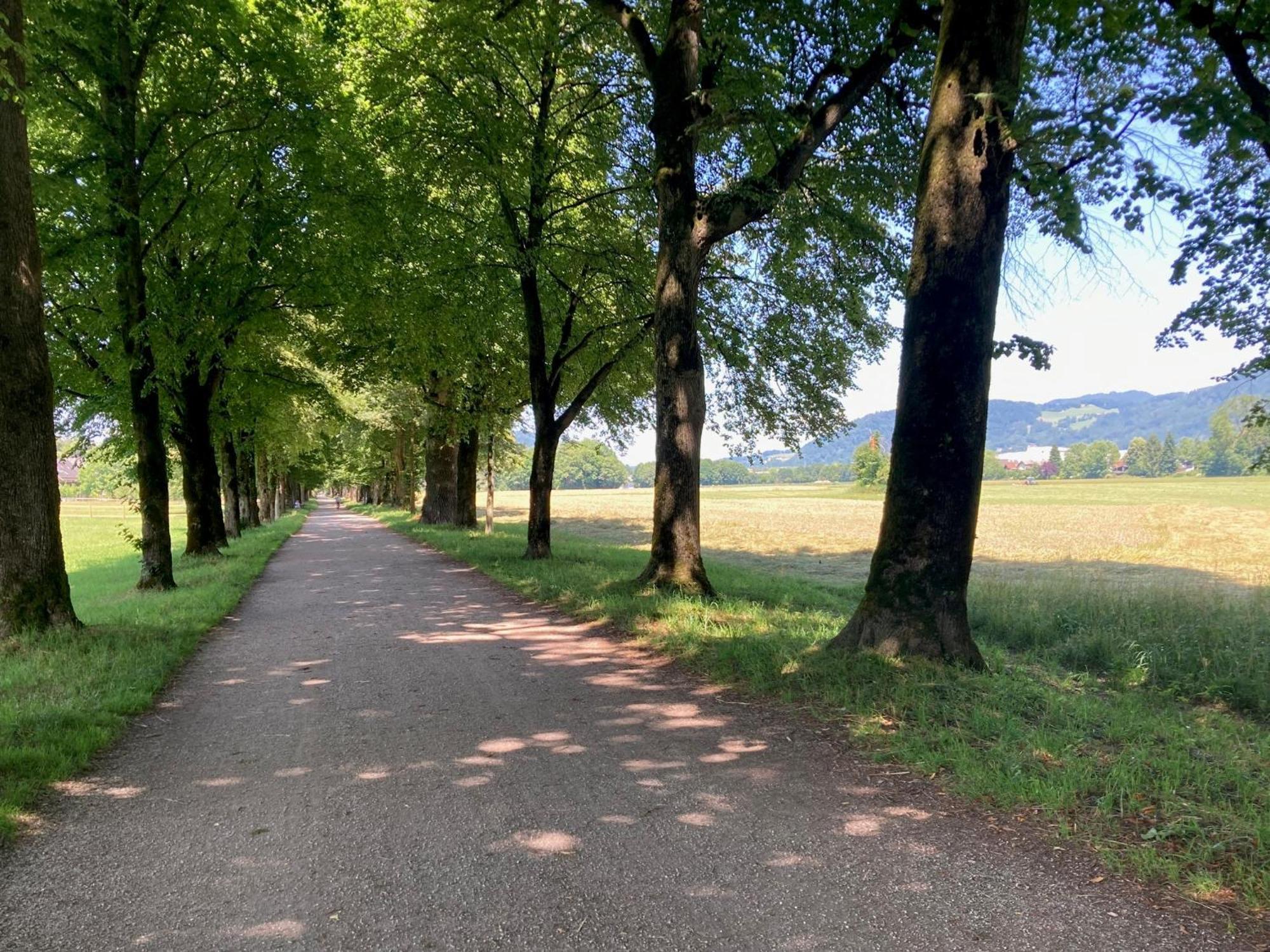 Haus Mit Sauna Und Privatem Badeteich In Anif Bei Salzburg Exteriör bild